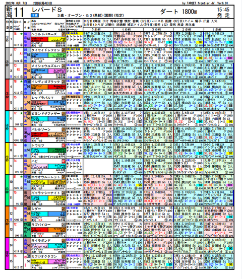 niti新潟11