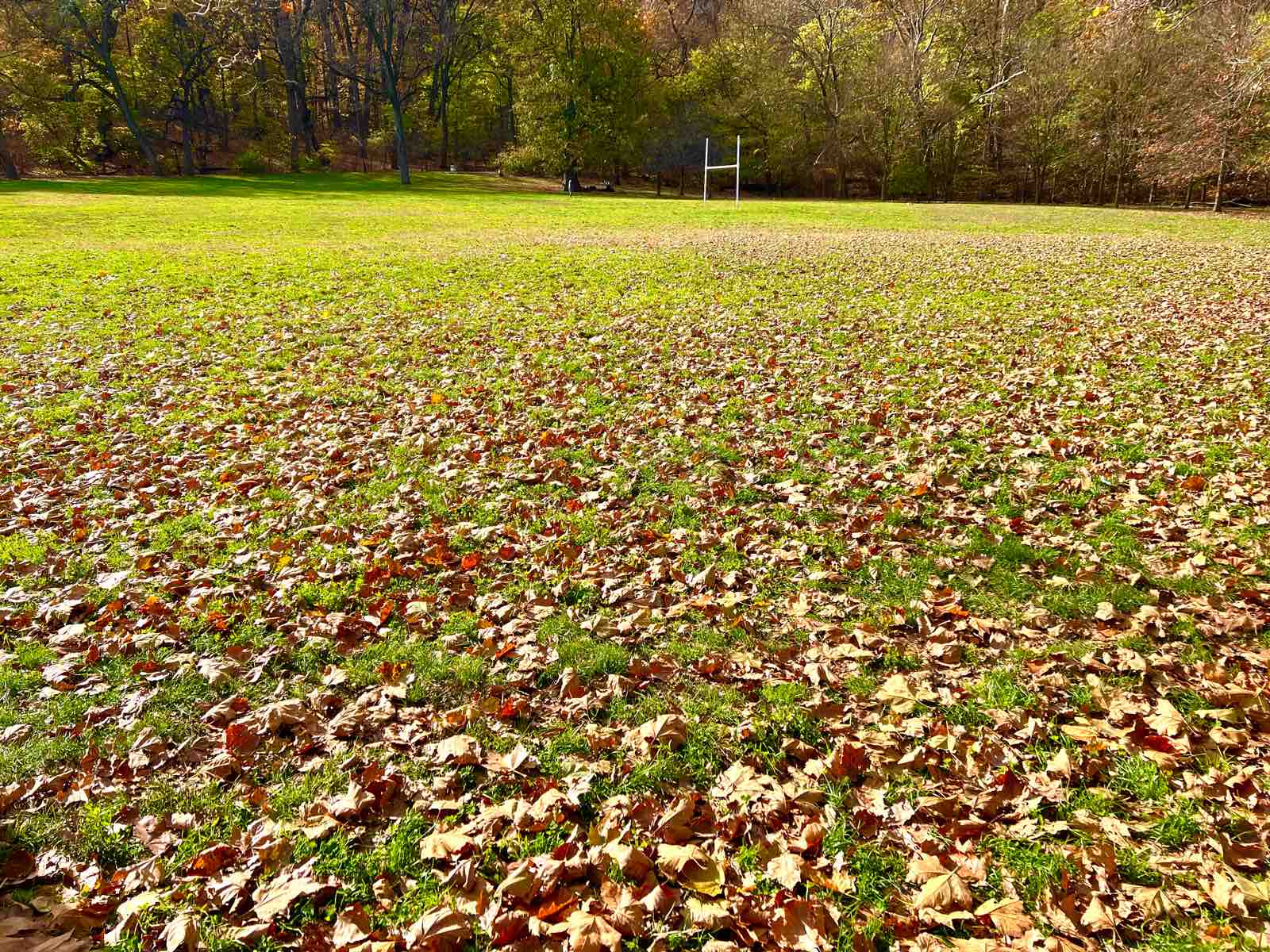 Ny 色んな意味で寒さが募る ニューヨーク最新情報 雄叫びー涙と怒りーの実況生中継でお伝えします