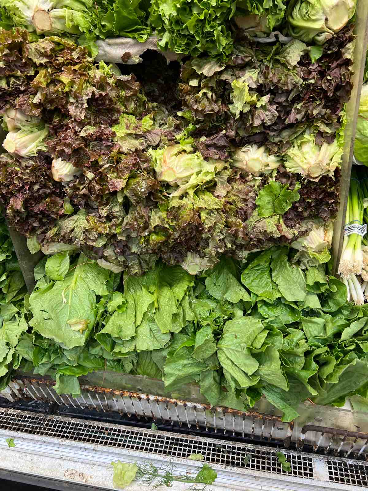 Ny 色んな意味で寒さが募る ニューヨーク最新情報 雄叫びー涙と怒りーの実況生中継でお伝えします