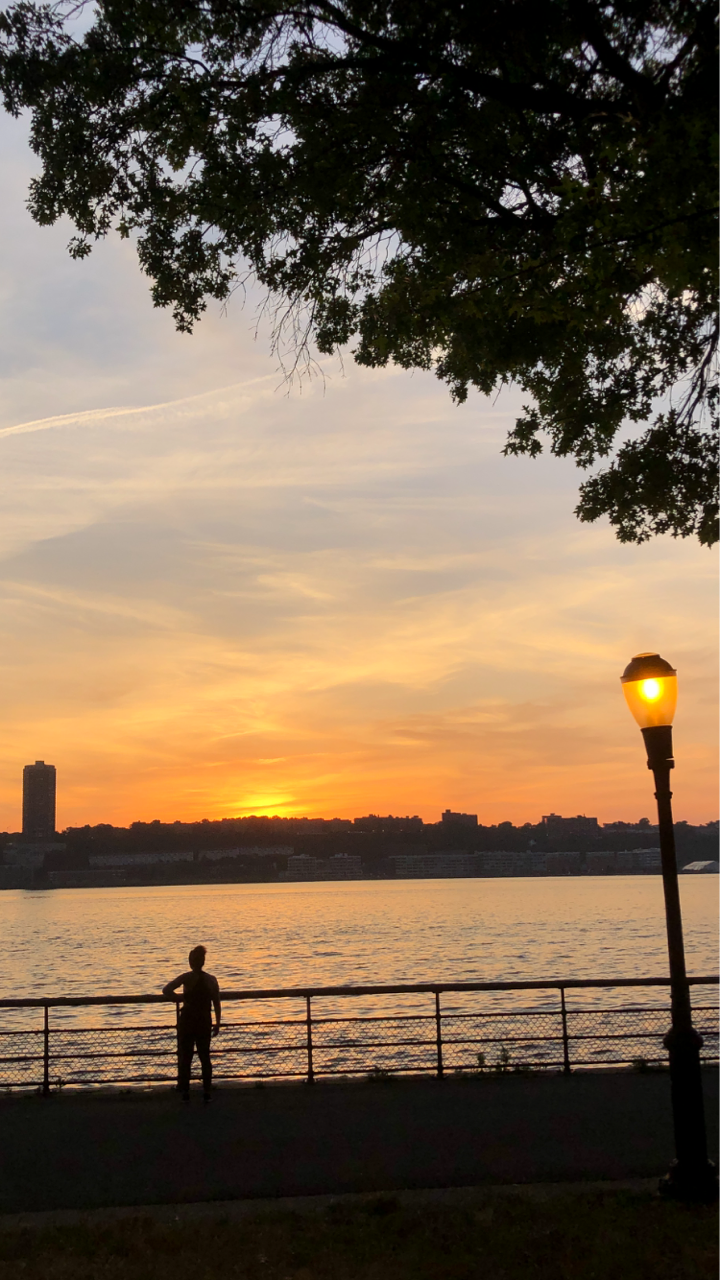 ハドソン川に 超異変が ニューヨーク最新情報 雄叫びー涙と怒りーの実況生中継でお伝えします