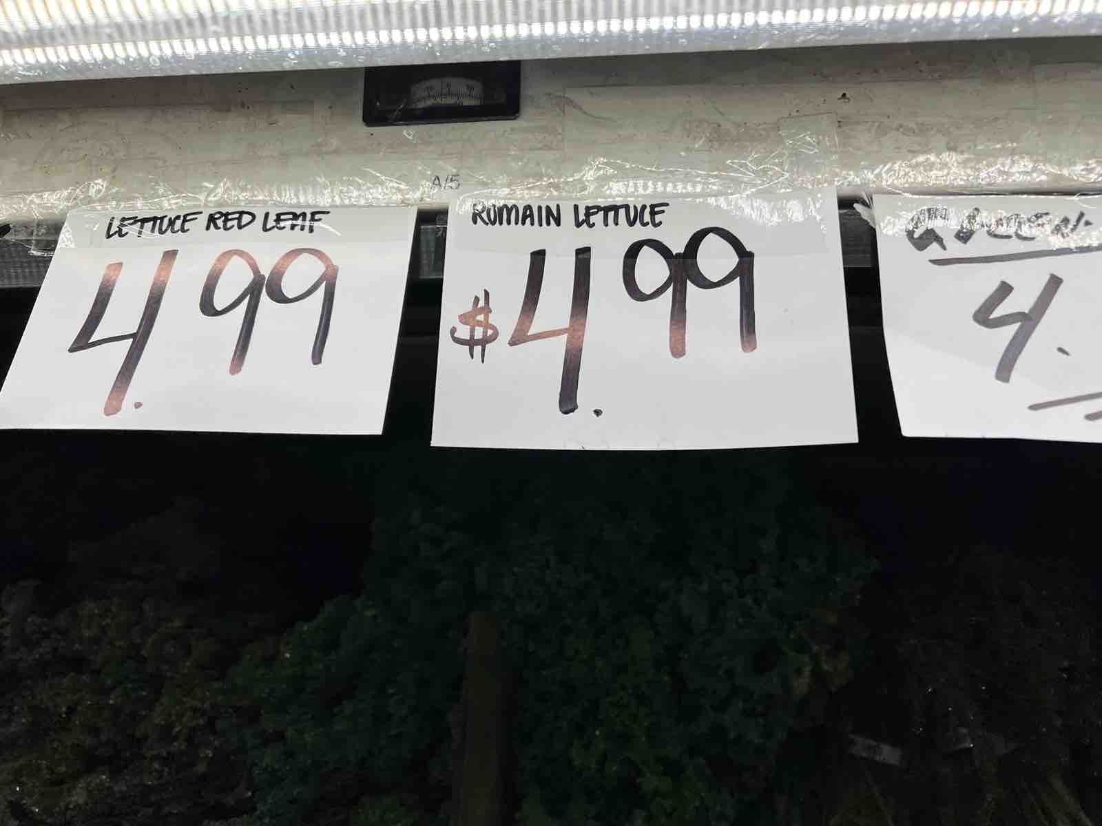 Ny 色んな意味で寒さが募る ニューヨーク最新情報 雄叫びー涙と怒りーの実況生中継でお伝えします