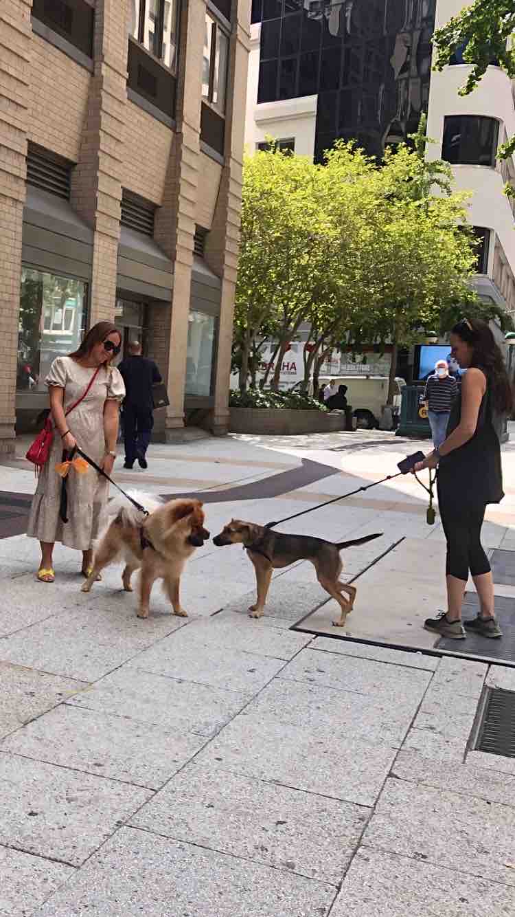 次から次へと犯罪が起きる謎 ニューヨーク最新情報 雄叫びー涙と怒りーの実況生中継でお伝えします