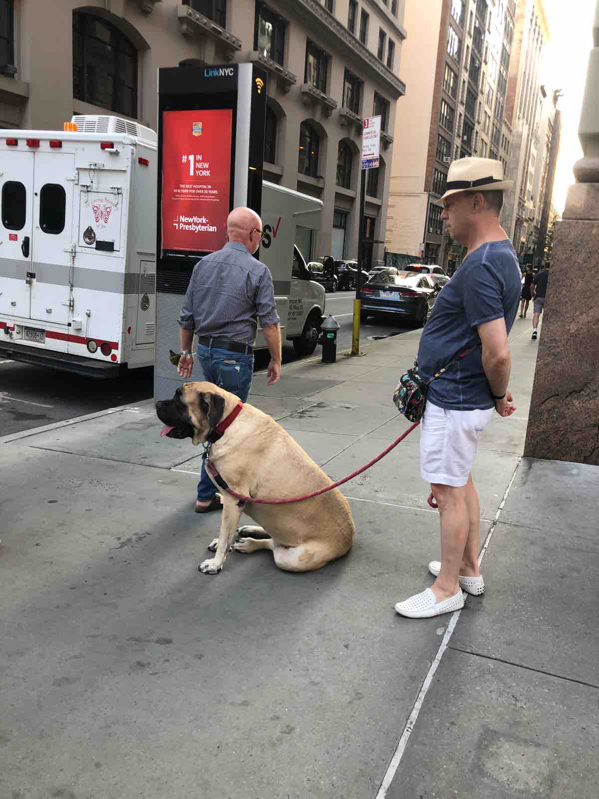 Ny なんでそれで逮捕やねん ニューヨーク最新情報 雄叫びー涙と怒りーの実況生中継でお伝えします