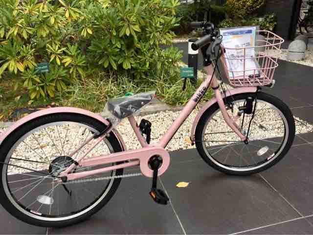大人気! 子供用自転車 ビッケ 22インチ オールドローズ savingssafari.com