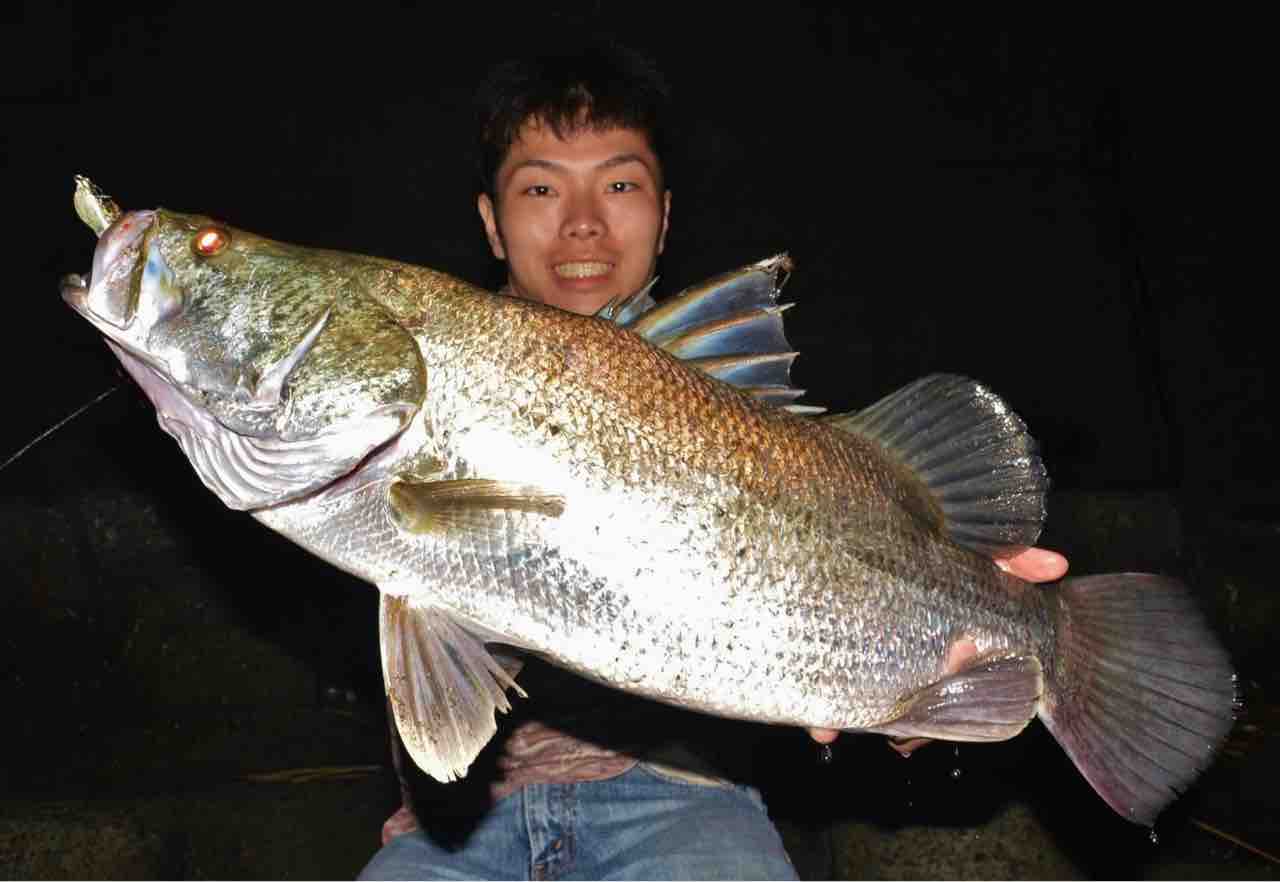 ついに釣ったー ビワコオオナマズ とある釣り人の現実逃避 Escape From Reality Of A Certain Angler ついに釣ったー ビワコオオナマズ とある釣り人の現実逃避 Escape From Reality Of A Certain Angler