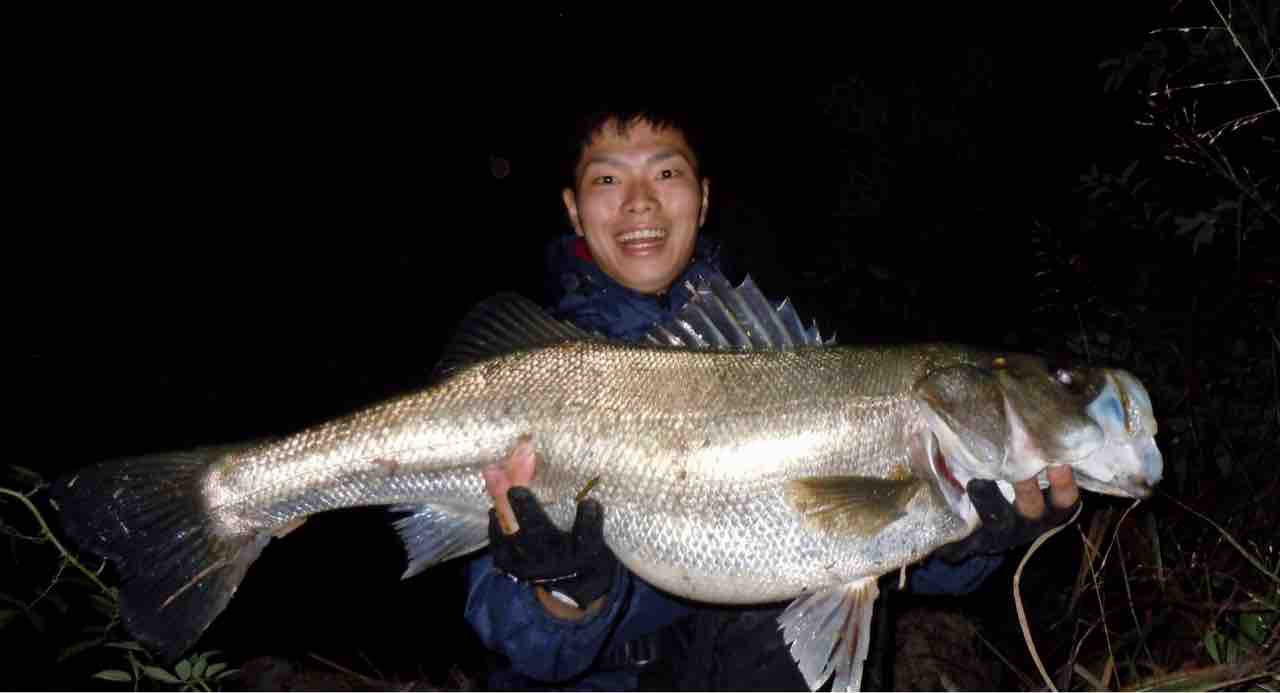 ついに釣ったー ビワコオオナマズ とある釣り人の現実逃避 Escape From Reality Of A Certain Angler