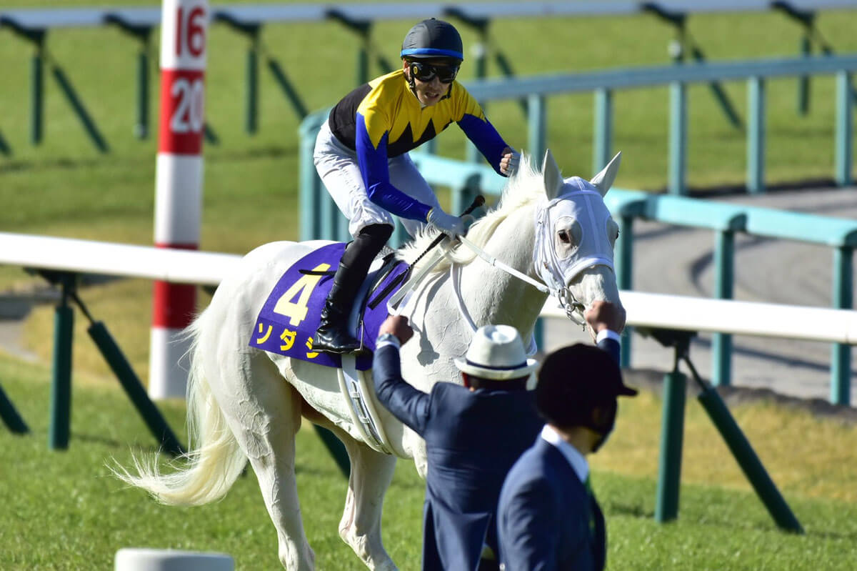 Jra 白毛の桜花賞馬ソダシ 次走 に日本ダービー G1 急浮上 この先は無限大 主戦 吉田隼人 意味深発言 の真意に迫る ギャンブル速報 ニュースまとめ Jra 白毛の桜花賞馬ソダシ 次走 に日本ダービー G1 急浮上 この先は無限大 主戦 吉田隼人 意味深発言 の真意に迫る ギャンブル速報 ニュースまとめ
