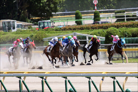 Jra松田国英厩舎 最後の大物3歳 が3連勝でオープン入り 2着小牧太 完璧だったけど 相手が悪かった もう1頭の アレグリア が規格外の走り ギャンブル速報 ニュースまとめ Jra松田国英厩舎 最後の大物3歳 が3連勝でオープン入り 2着小牧太 完璧だったけど 相手が悪かった もう1頭の アレグリア が規格外の走り ギャンブル速報 ニュースまとめ