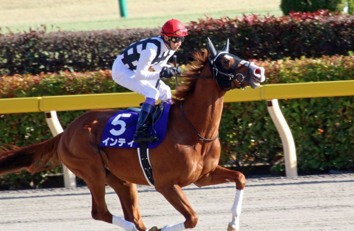 JRA武豊が凱旋門賞参戦で、国内レースは「鞍上問題」山積み ...