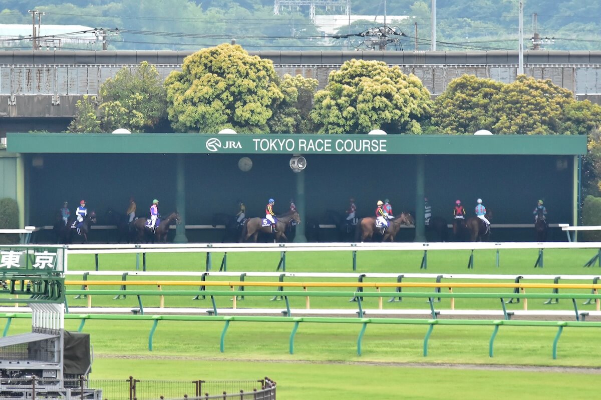 Jra馬主との 確執 は起こるべくして起きた 音信不通 の調教師に撤退を決断 影を落としたパワハラカフェイン疑惑の余波 ギャンブル速報 ニュースまとめ Jra馬主との 確執 は起こるべくして起きた 音信不通 の調教師に撤退を決断 影を落としたパワハラカフェイン疑惑の余波 ギャンブル速報 ニュースまとめ