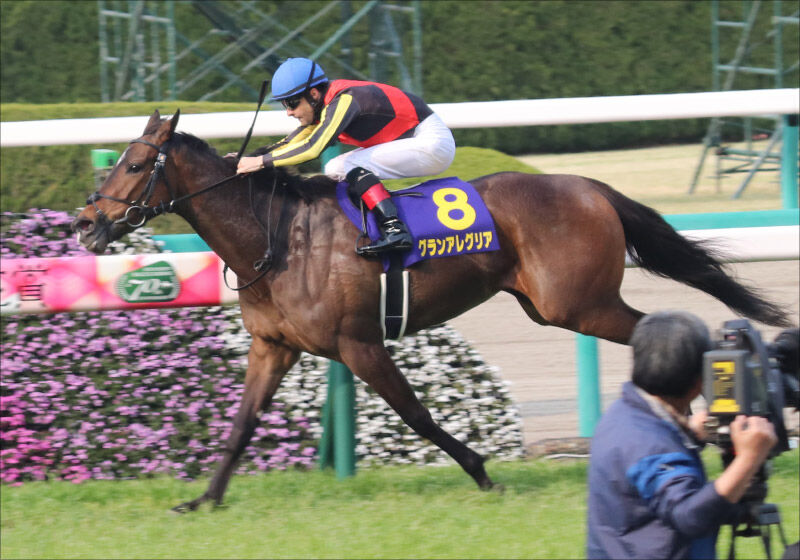 Jra 西高東低 がより顕著に 迫るアーモンドアイ引退 藤沢和雄の定年 2歳世代も大苦戦 巻き返しの 秘策 とは 中年太郎の競馬ニュースまとめ