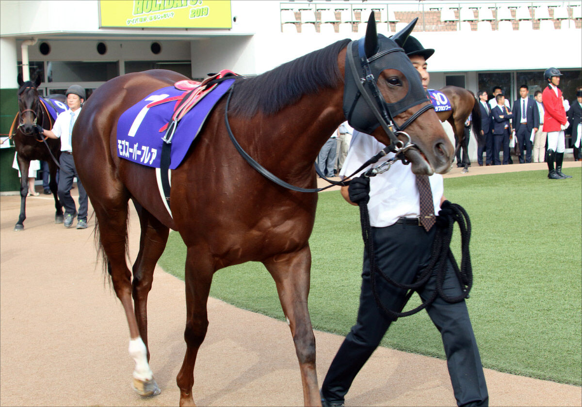 Jra カペラs G3 展望 個性派逃亡者 モズスーパーフレア引退レース 有終の美へ 相手は初スプリント キレッキレ の追い込み馬 ギャンブル速報 ニュースまとめ