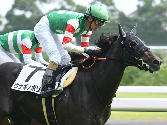 サウジアラビアrc 新種牡馬ドレフォン産駒の珍名馬 ウナギノボリ に注目 ギャンブル速報 ニュースまとめ