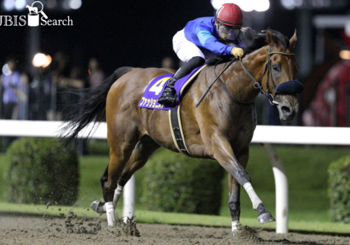 Jra北村友一 女性キャスター をエスコート Jbcレディスクラシック G1 二度生まれるのは 名馬 ではなく 名シーン 中年太郎の競馬ニュースまとめ