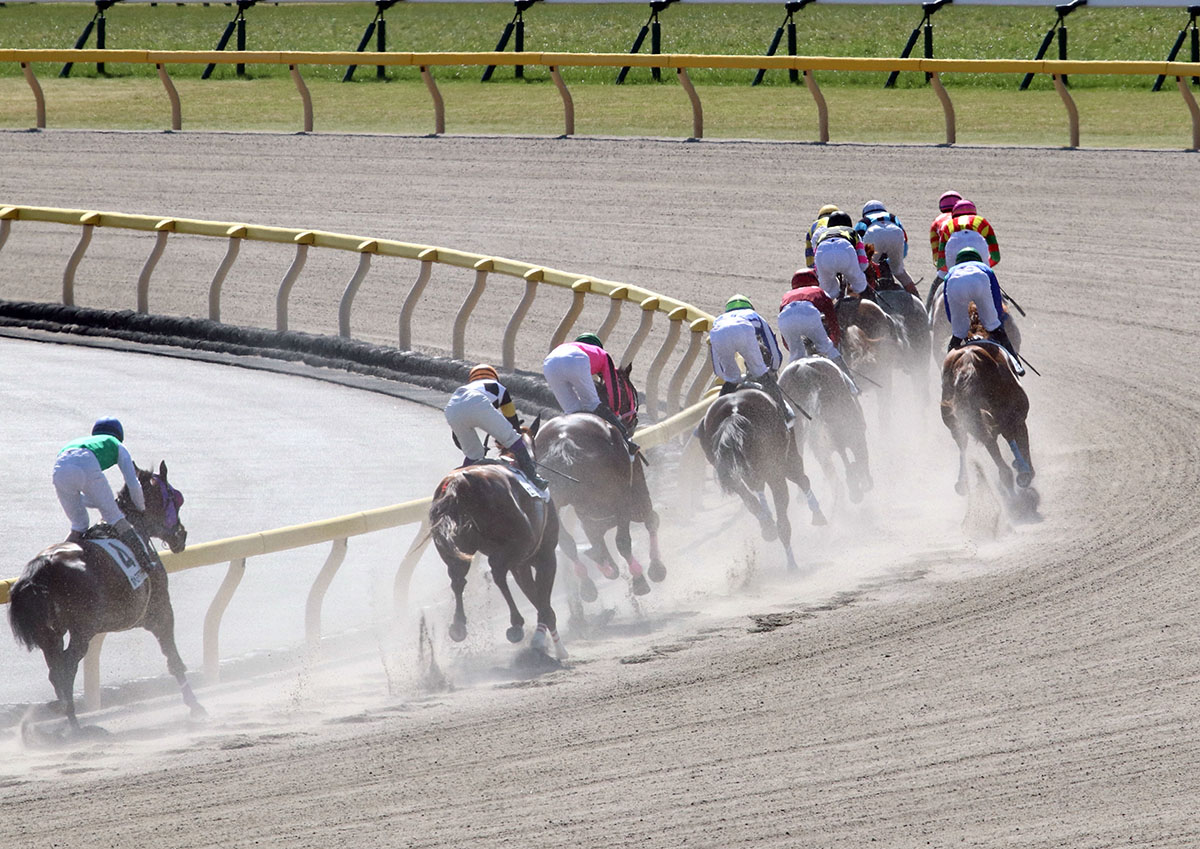 Jra 掲示板5着馬まで出走停止 武豊 半端じゃない ベタ褒めの超大物がド派手デビュー 早逝した世界賞金王の忘れ形見に タイムオーバー被害 続々 ギャンブル速報 ニュースまとめ