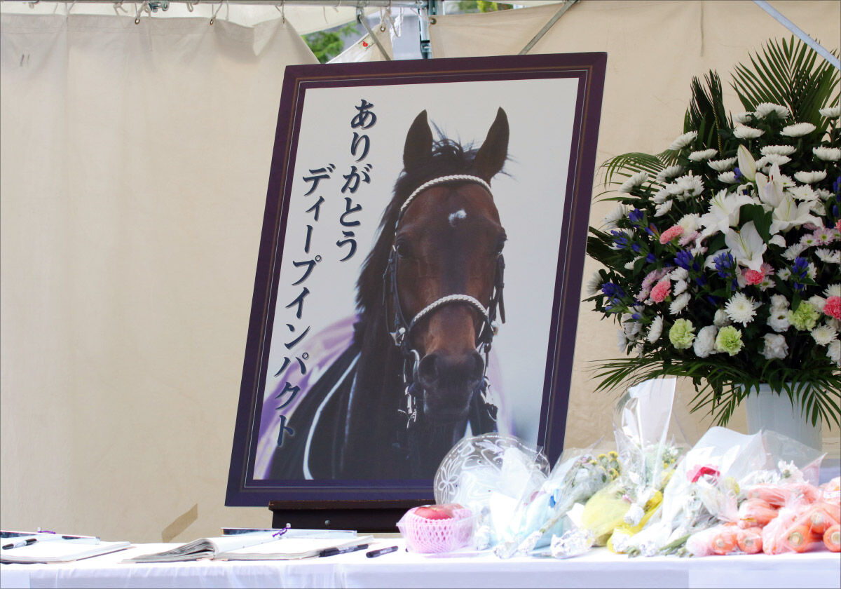 Jra ディープインパクト後継問題 アーモンドアイ父に 失格 の烙印 リーディング2位ロードカナロア 21年種付け料 まさかの大幅ダウンの真相 ギャンブル速報 ニュースまとめ Jra ディープインパクト後継問題 アーモンドアイ父に 失格 の烙印 リーディング2位ロードカナロア 21年種付け料 まさかの大幅ダウンの真相 ギャンブル速報 ニュースまとめ