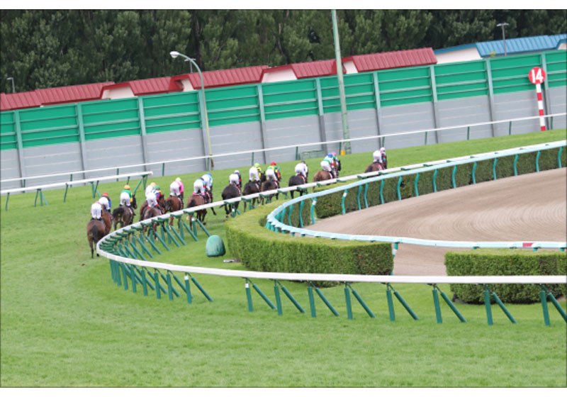 Jra的場均 絶好調なら絶対に選ばなかった乗り方 淀に咲き 淀に散ったライスシャワー 天皇賞 春 G1 2年ぶり勝利も待ち受けていたのは ギャンブル速報 ニュースまとめ