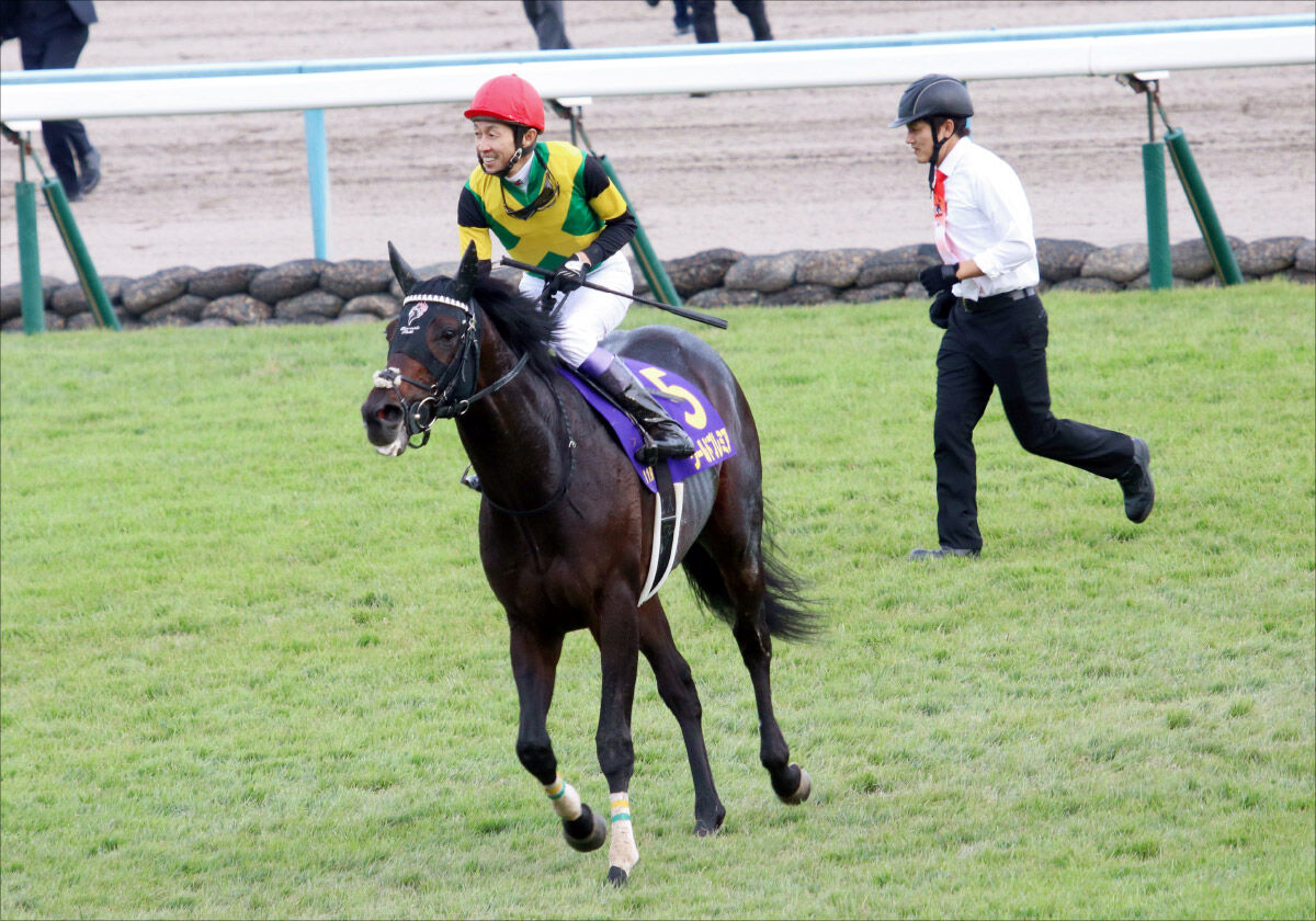 Jra武豊アドマイヤビルゴ重賞制覇カウントダウン 有馬記念 G1 電撃参戦の前例も ワールドプレミアの動向にも注目 ギャンブル速報 ニュースまとめ Jra武豊アドマイヤビルゴ重賞制覇カウントダウン 有馬記念 G1 電撃参戦の前例も ワールドプレミアの動向にも注目 ギャンブル速報 ニュースまとめ
