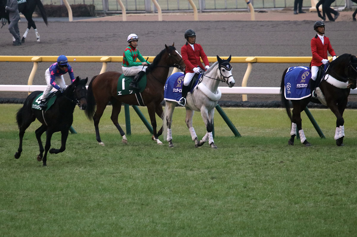 Jra藤田菜七子 同着1位 初勝利 でビックリ クリンチャーに先着したばかりの人気馬が衝撃の引退 中年太郎の競馬ニュースまとめ