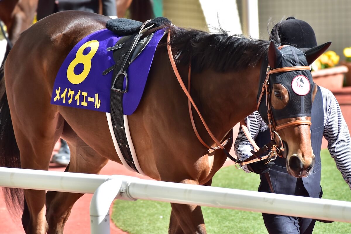 Jra メイケイエール復帰戦に武豊が ポツン 宣言 どっちかですよね 明言避けるもついに決断か 横山典弘のお株を奪うマジックに期待 ギャンブル速報 ニュースまとめ