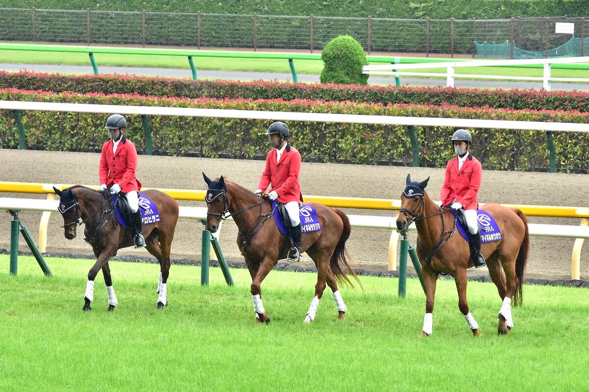 アニメ ギャンブル速報 ニュースまとめ
