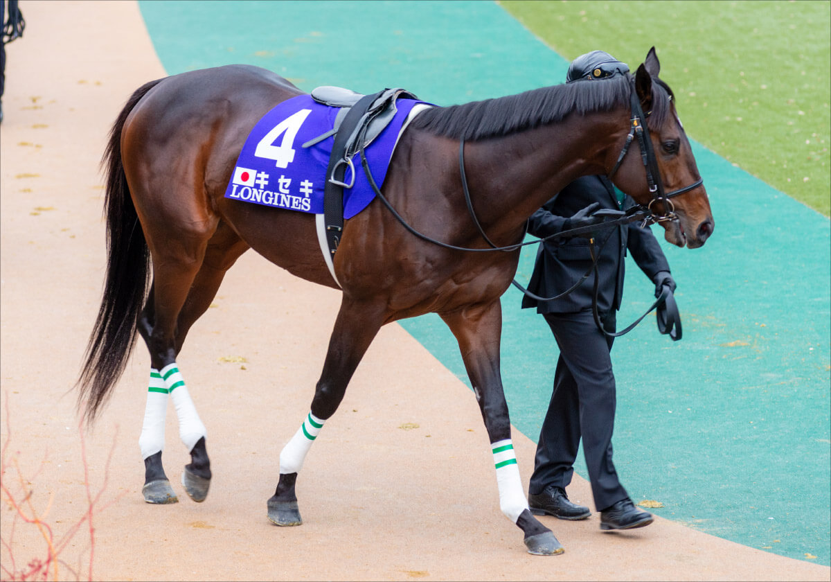 Jra ギャンブル速報 ニュースまとめ Jra ギャンブル速報 ニュースまとめ