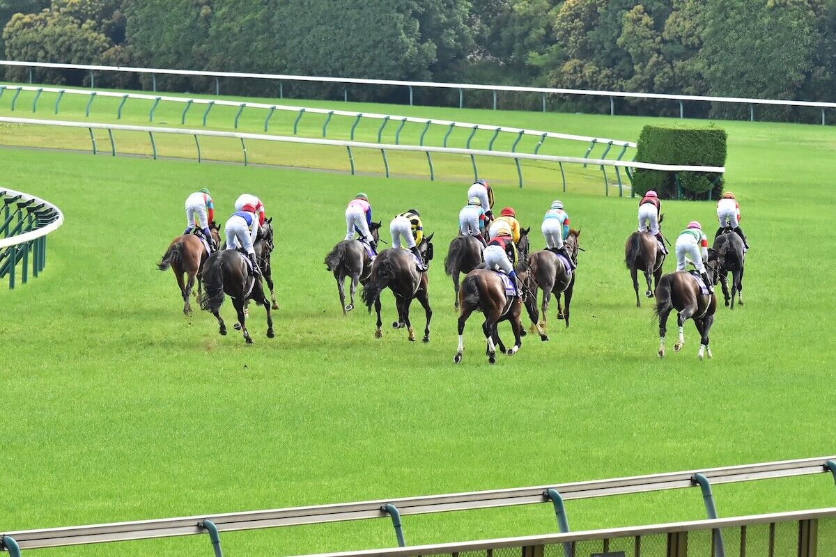 フジテレビ 名物アナ 続々退社で みんなのkeiba に心配の声 早期退職制度で塩原恒夫アナ 福原直英アナら大物離脱 最後の砦 はあの人 ギャンブル速報 ニュースまとめ