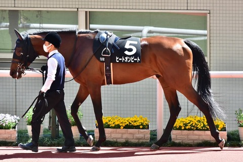 20210411_hi-toonbi-to_11 (1)