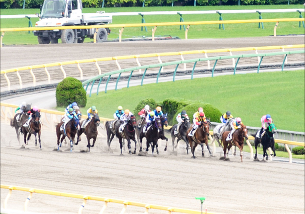 元jra藤田伸二氏 岩田康誠の 好判断 を大絶賛 フェブラリーs G1 インティ武豊が逃げられず 一番のファインプレーは康誠 ギャンブル速報 ニュースまとめ 元jra藤田伸二氏 岩田康誠の 好判断 を大絶賛 フェブラリーs G1 インティ武豊が逃げられず 一番のファインプレーは康誠 ギャンブル速報 ニュースまとめ