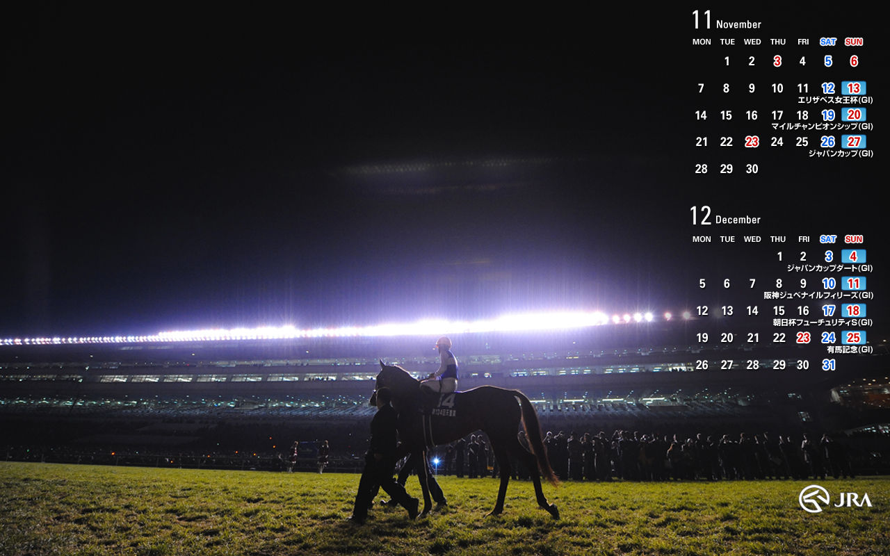 エリザベス女王杯見解2 ロイズ主宰 Jra競馬サイン 金の成るブログ エリザベス女王杯見解2 ロイズ主宰 Jra競馬サイン 金の成るブログ