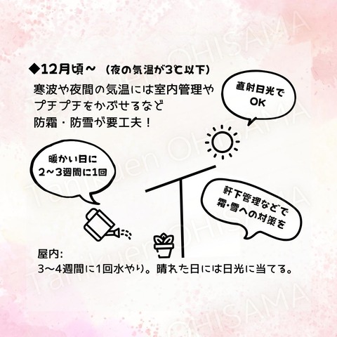 育て方　正方形 (Instagramの投稿) - 6