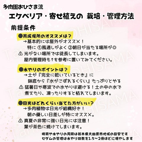 育て方　正方形 (Instagramの投稿) - 1