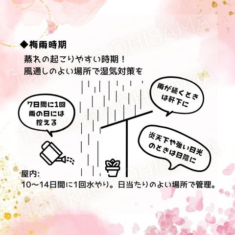 育て方　正方形 (Instagramの投稿) - 3