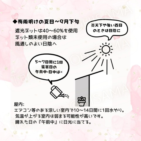 育て方　正方形 (Instagramの投稿) - 4