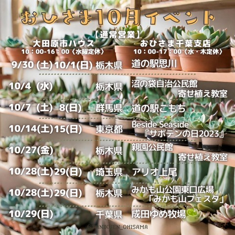 おひさま8月イベント まとめ