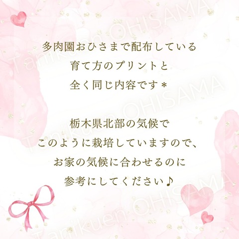 育て方　正方形 (Instagramの投稿) - 7