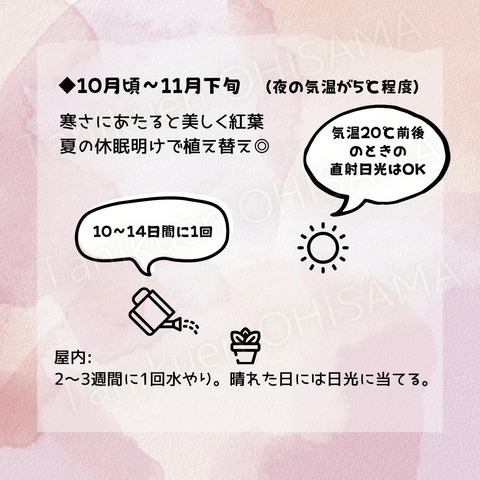 育て方　正方形 (Instagramの投稿) - 5