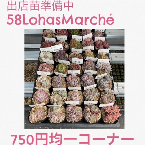 72002E3D-C7C0-49ED-B70F-B3C8013D6F4C