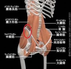 調べる必要のあること Tanino Crisci実験記録 調べる必要のあること Tanino Crisci実験記録