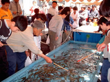 14737dcf.bmp
