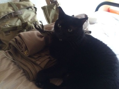 3e12a4163f716e977a004c80f48f68a0