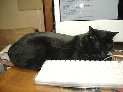 0d5023ae479b3e18a01746913fb78f48