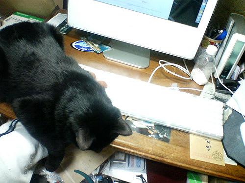 043b31198422f3fb1cb20d1572f2417e