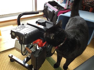 7b8d8bb07d108545a3119a9006c23265