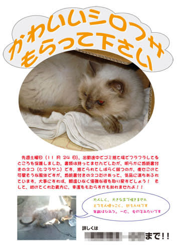 9411a056722846c85314d6bad8937f2d