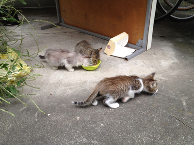 5842d73549aee25df3ced1aa74b34ff7