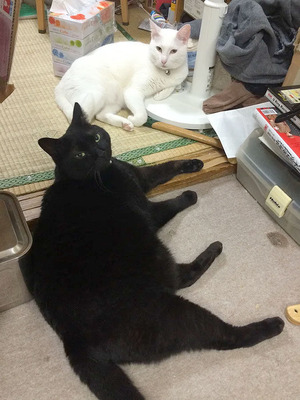 ̾��̤����-1