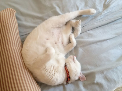 ̾��̤����-1