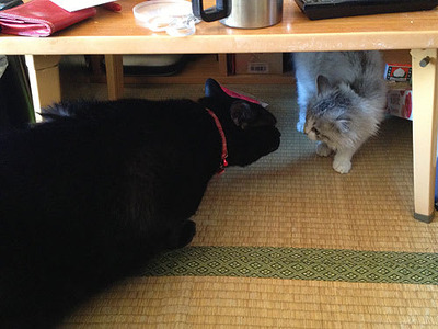 85b324bb8fe74dc913e90893468cd535