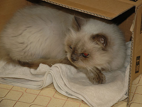 9d97c772c01e51fcb55ec413cb79478e